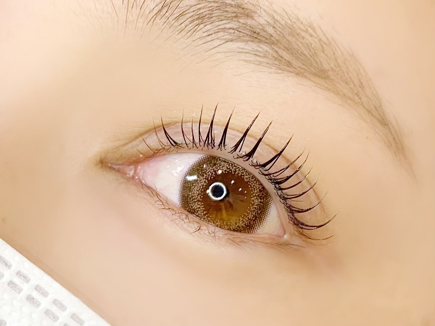 スライド説明１